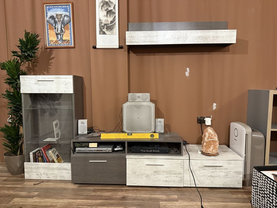 Холна секция Виденов