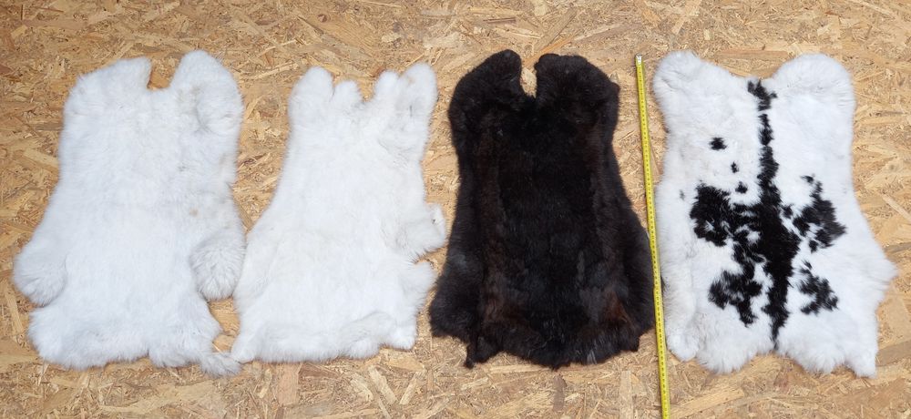 Piei/Blănuri argasite iepure