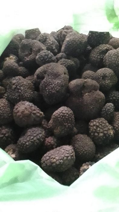 Vand Trufe proaspete