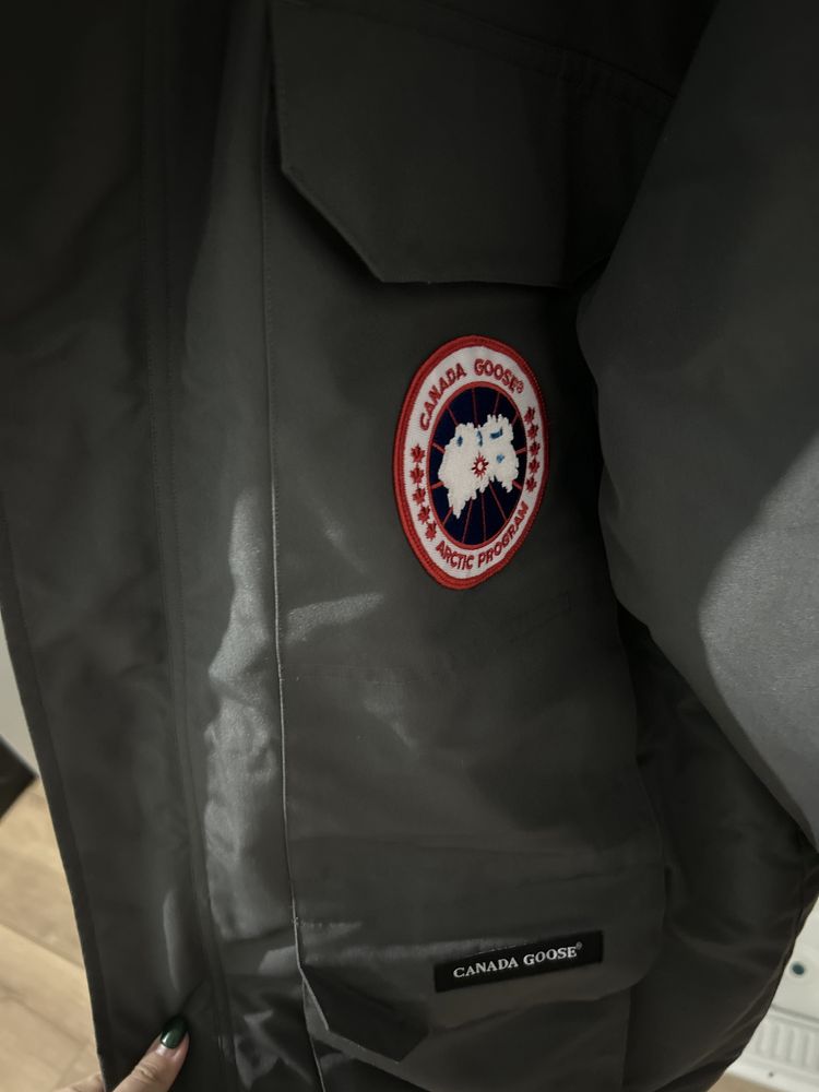 Canada goose expidition