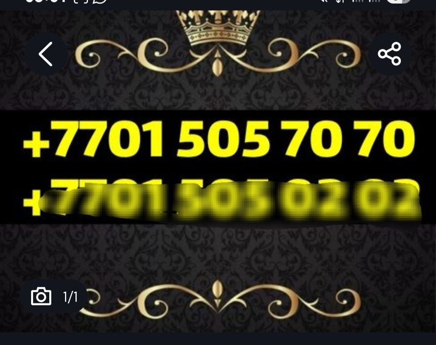 Актив вип номер.