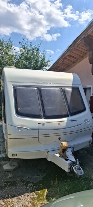 Rulota Elddis inmatriculata