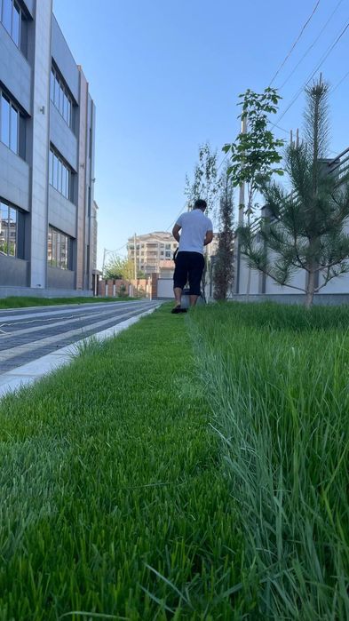 Газон Микроклимат  Палив хизматлари уйигизга ёки офисга тақдим этамиз