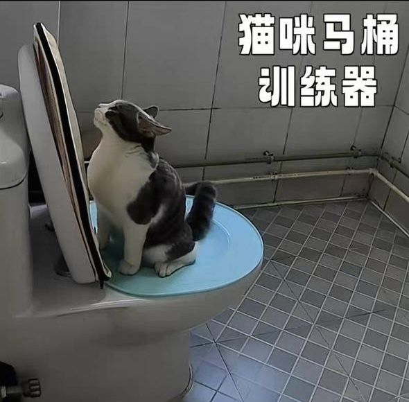 очень удобный лоток для кошек