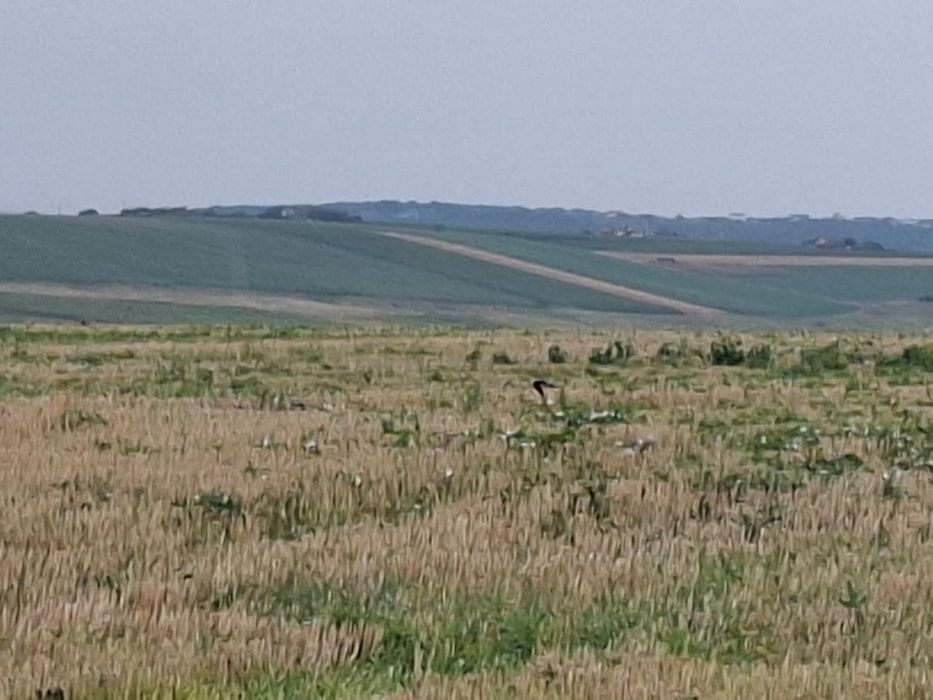 Oportunitate de investiție-Teren Horlești/Rediu 4,6 Ha