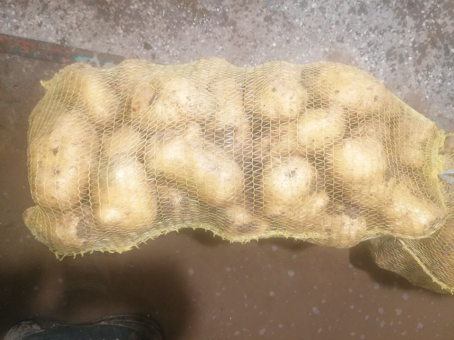 картофи за пълнене