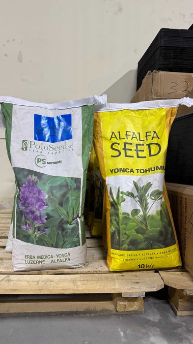ALFALFA (YONCA) URUG‘I — Italiya sifati, Turkiyada ishlab chiqarilgan!