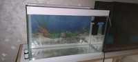 Aquarium 4mm ideal(new)