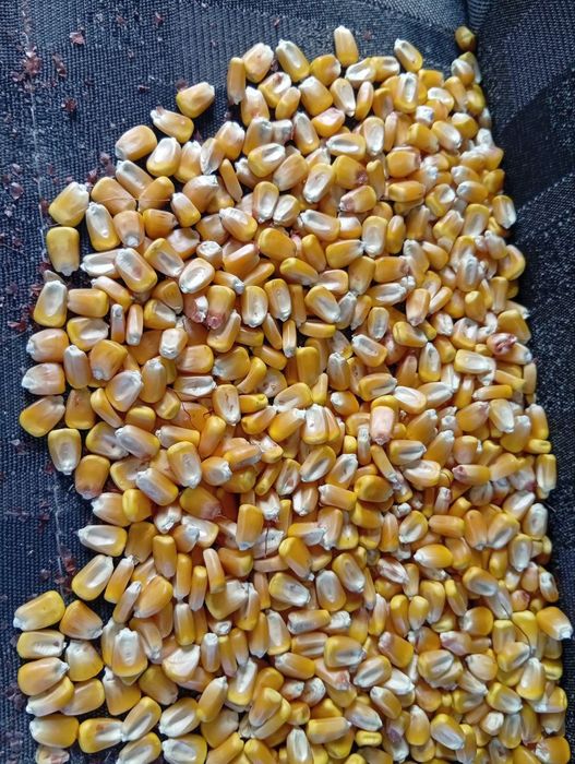 Johori optom sklad жохори оптом склад макка makka johori