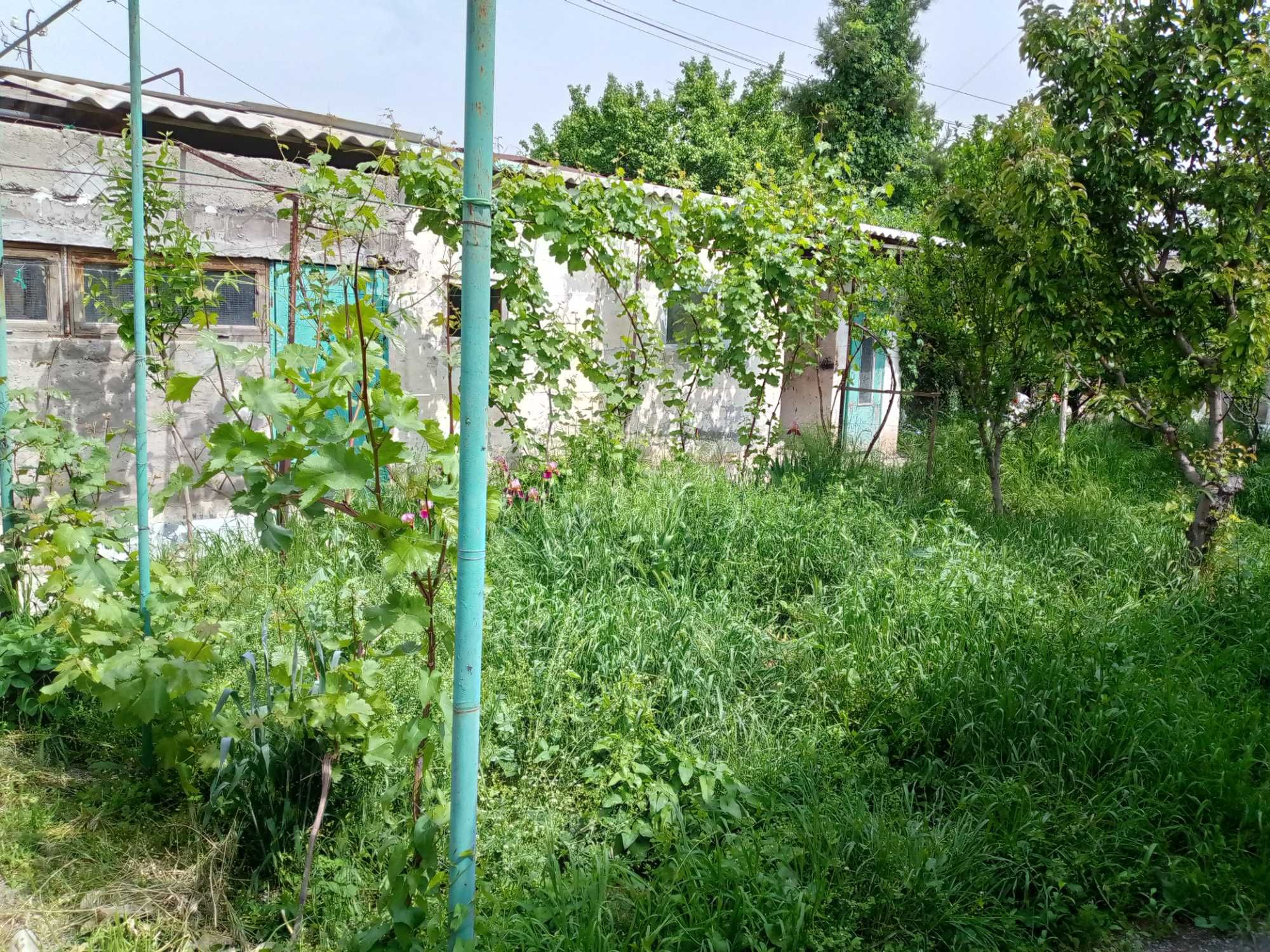 продаётся полавина участка 3 сотки