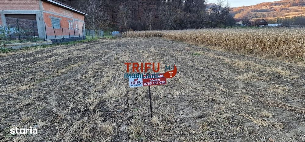 Teren Intravilan în Ampoița 1000mp