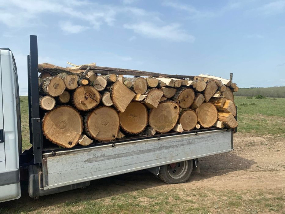 Vand SPALIERI de salcam si lemn de foc