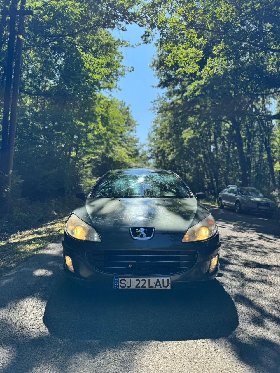 Peugeot 407 1.6hdi 2007 diesel euro4