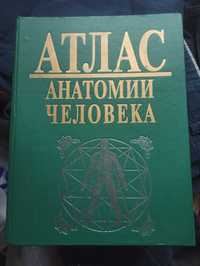 Атлас анатомии человека В. П. Воробьёв 1998г. 1472стр.