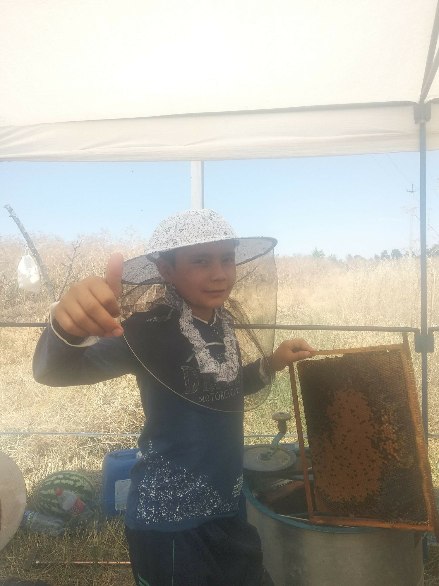 Тоза шифобахш Паркент асали бор.