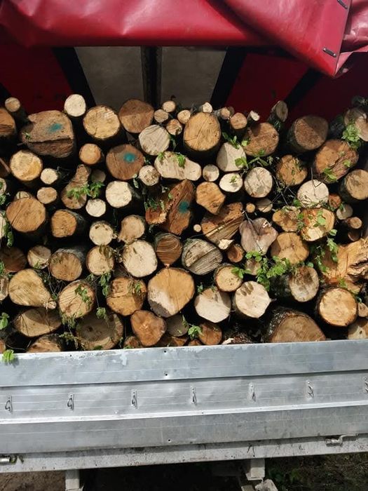 Lemne de foc carpen sí fag