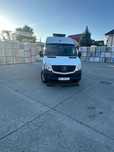 Vând Sprinter 313 Frigorific