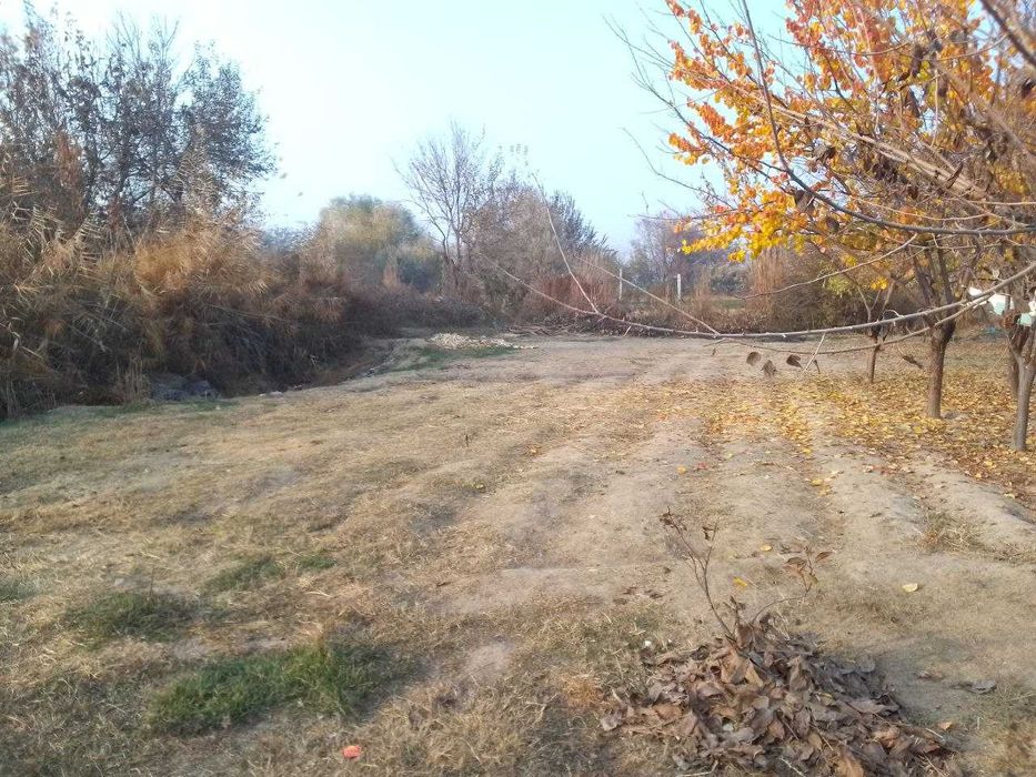 Уи сотилади Йангиол тумани аринтир Михалибка