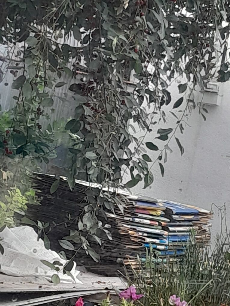 Продам  каробки из банана