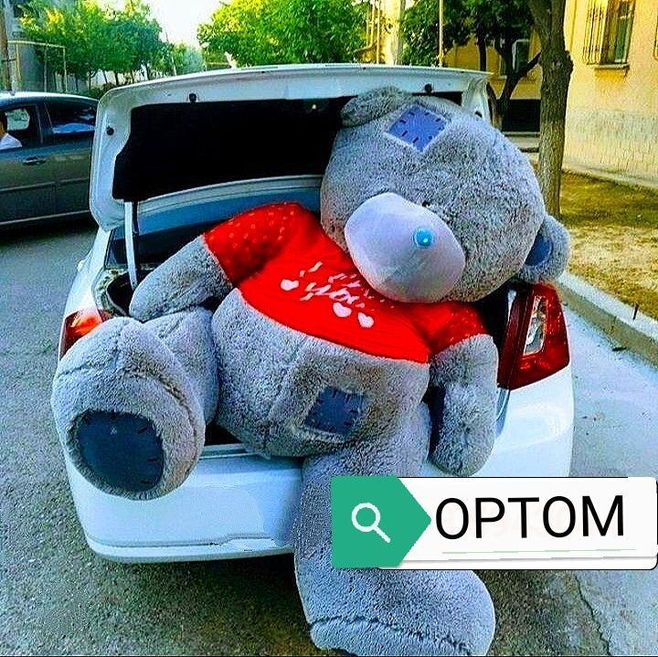 Teddy 1+1 Teddi Bonusiga 100% Orginal Eng Arzon Narxlada