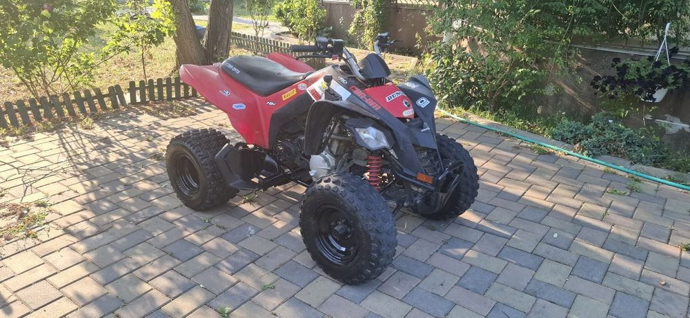 ATV Can-Am DS250
