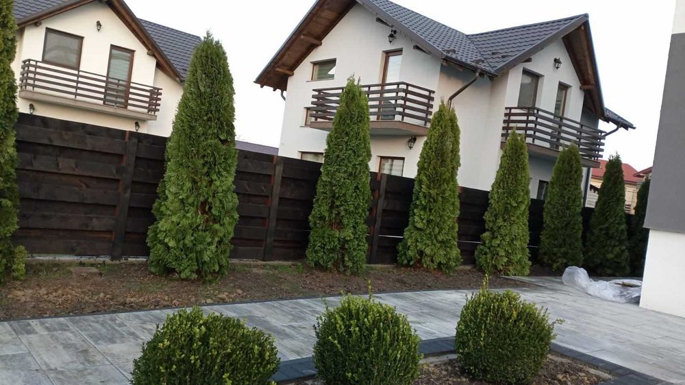 Plante ornamentale premium pentru amenajări moderne de grădini