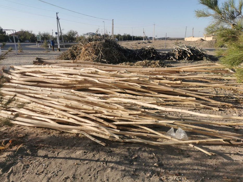 Vassalik bolorliklar sotiladi