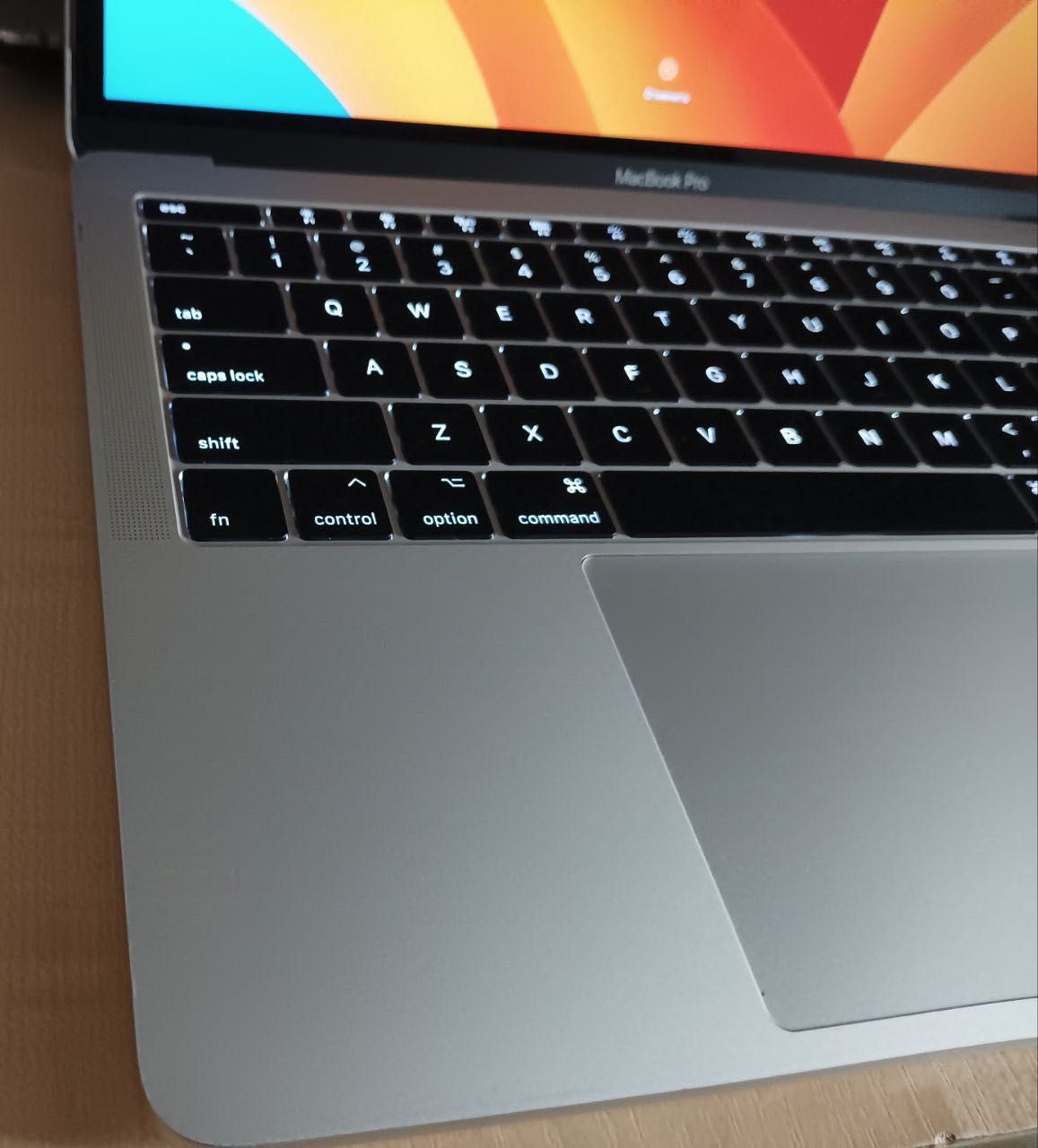 MacBook Pro 2017 A1708 | 333$ скитка