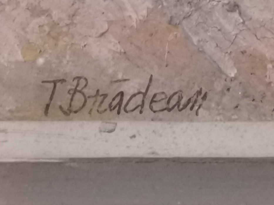 Tablou de Traian Bradean Peisaj Marin