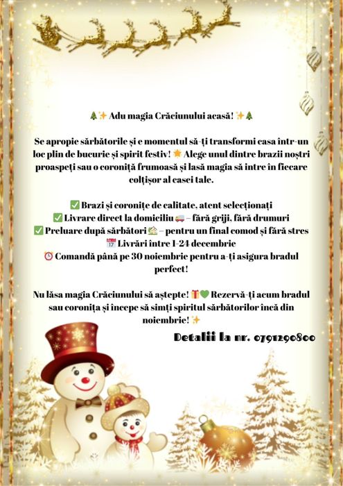 Brazi Coronite Festive de Craciun