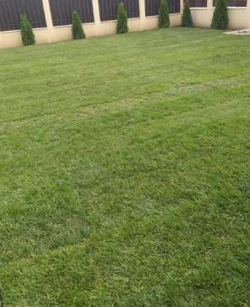 Sisteme de Irigare si Gazon Rulou