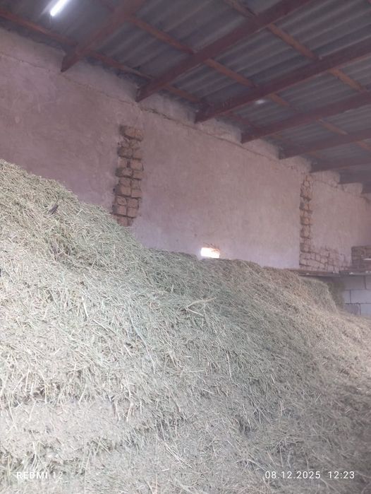 Жоңышка сатылады