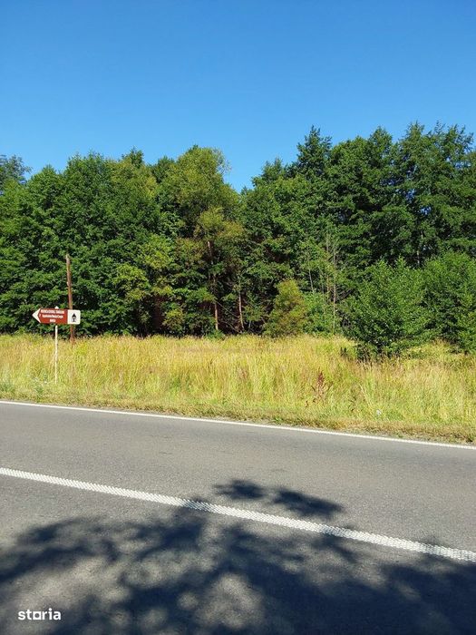 Teren Intravilan În Marga-La Dn68 Jud.caraș-Severin