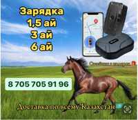 GPS для лошадей. Жылқыға, малға ЖПС