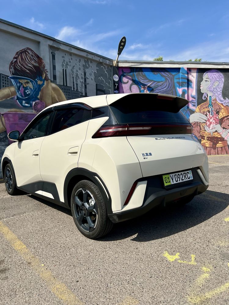 BYD Seagull 2024
