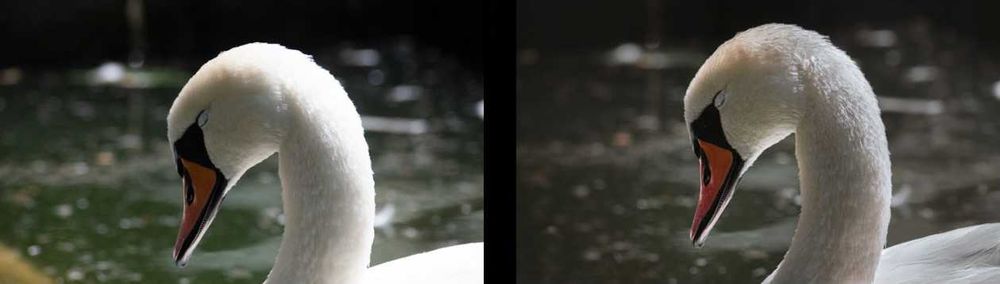 Професионална обработка на снимки!