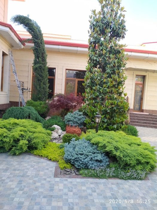 Ландшафтная компания ENTER GREEN LIFE