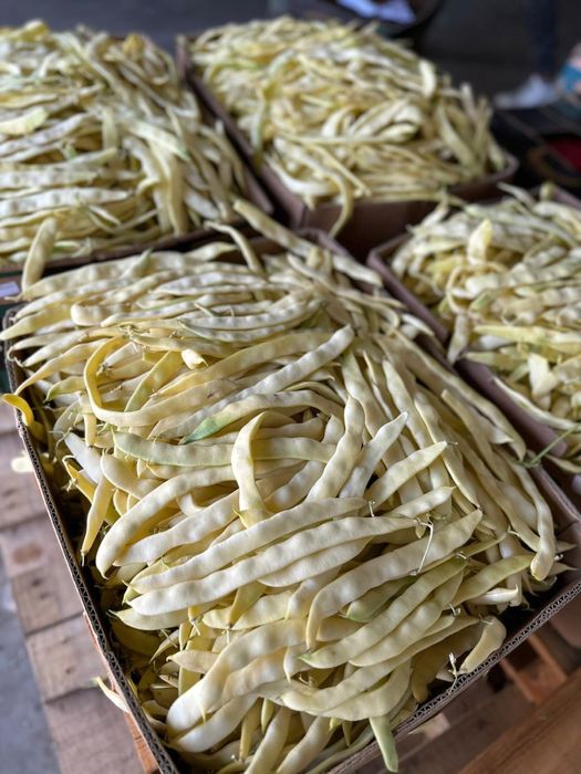 Legume românești en-gros- roșii , castraveți, ardei, vânătă