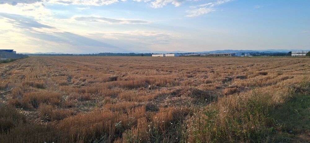 Teren Intravilan 15327mp, D-24 m, zona Industriala, str Infratirii