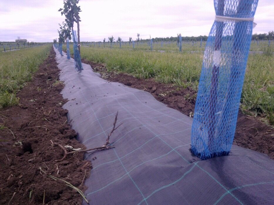 Folie AGROTEXTIL: 0.5x100ml; 1x50m; 1.5x100m;2x100m;PRETURI PRODUCATOR