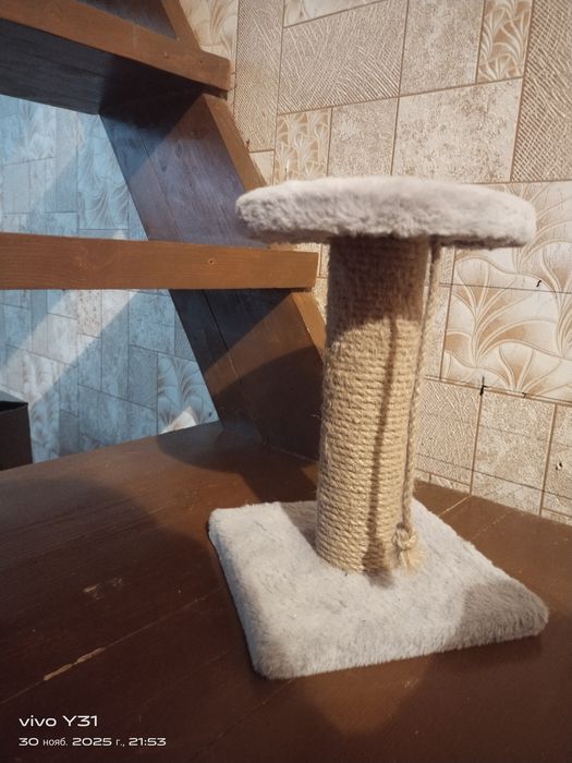 Продам когеточку для котят. В отличном состоянии,