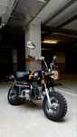 Vand Monkey Z50 50cc