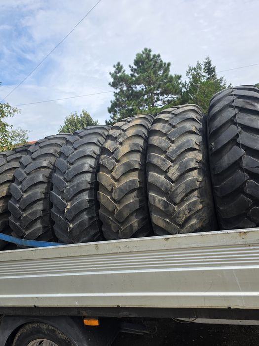 Cauciucuri de padure 1400x20 pt cunoscatori cap de ZIMBRU