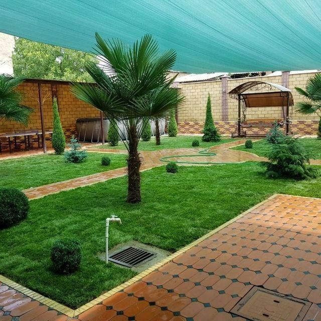 Gazon ekish xizmati sifatli xizmat