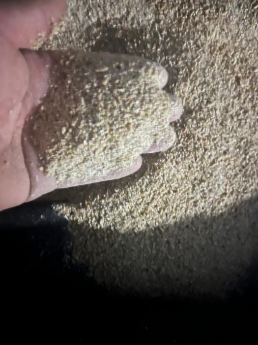 Дробленка пшеничная