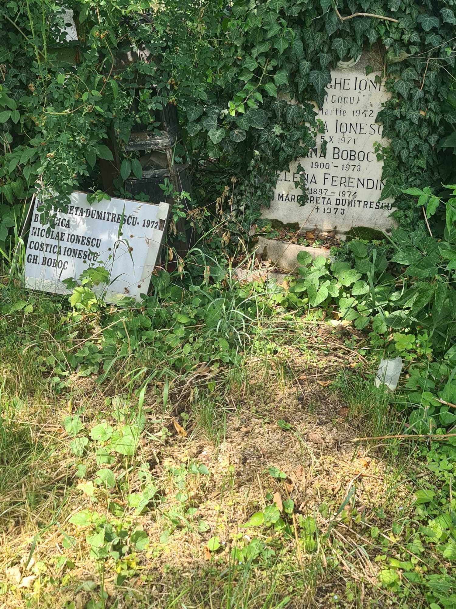 Vand loc de veci cimitirul Sf Vineri