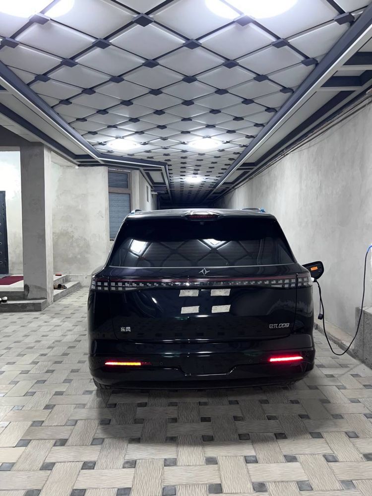 Dongfeng 008 Gibrid nalichiy bor