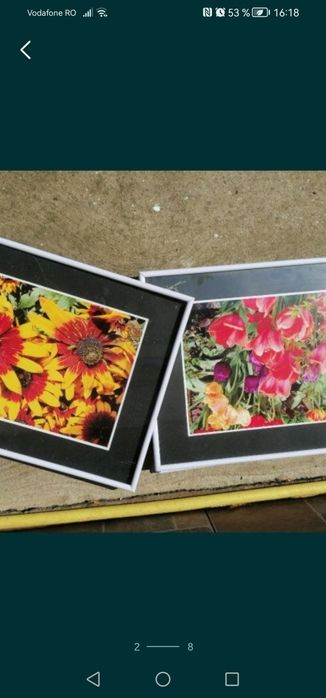 Tablou A3, cu rama și geam de sticla, poze flori sau peisaje, semnat