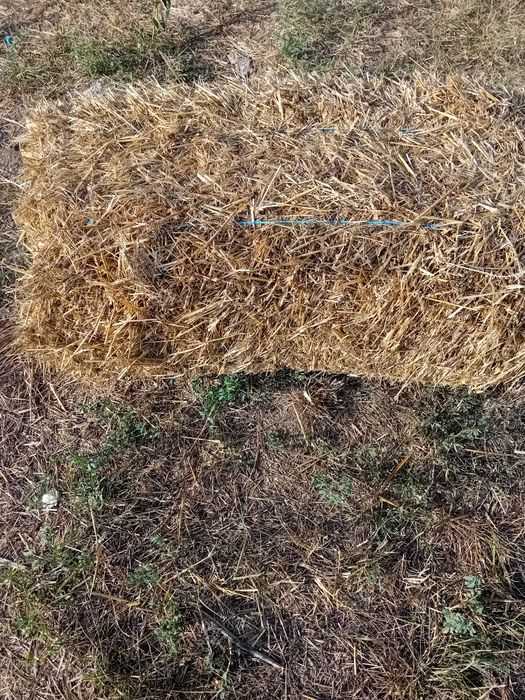 Vând  baloti de paie