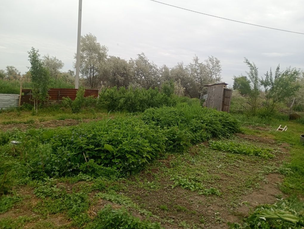 Уй сатылады ынтымак ауылы